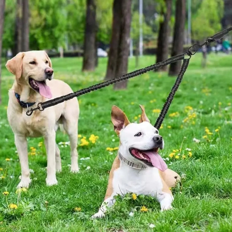 Double Bungee Coupler Leash