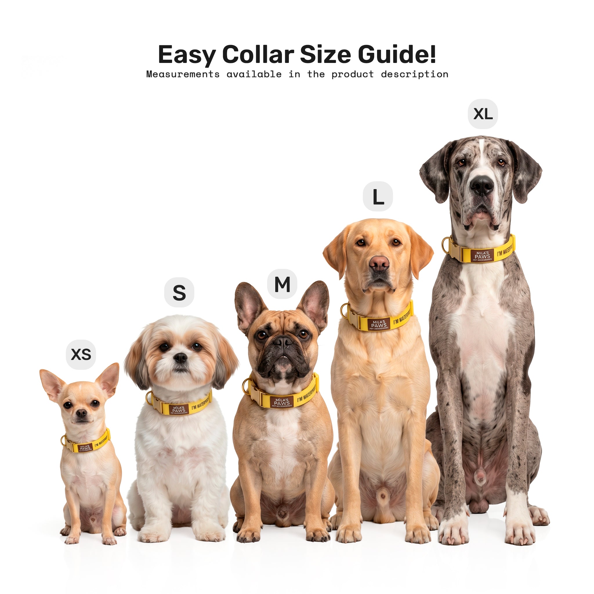 Size_Collar2.jpg
