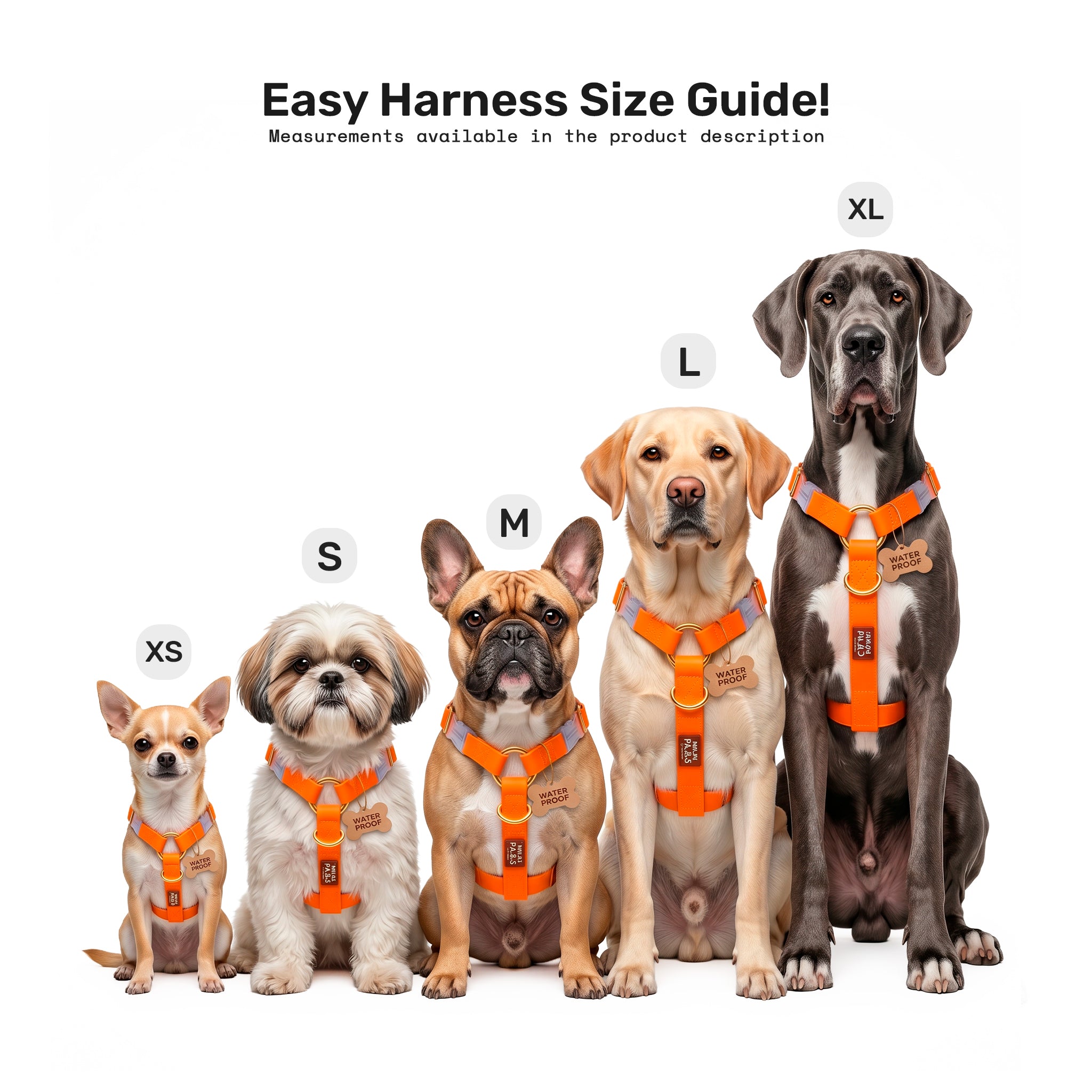 Size_Harness2.jpg