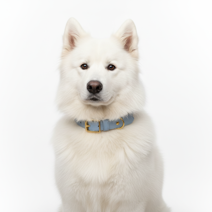 Vegan Leather Dog Collar