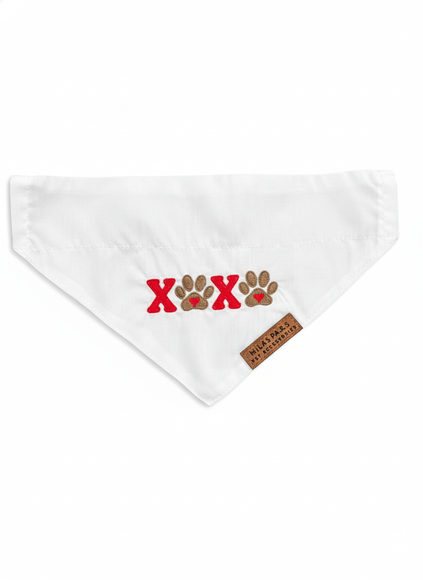 Amore Paws Bandana
