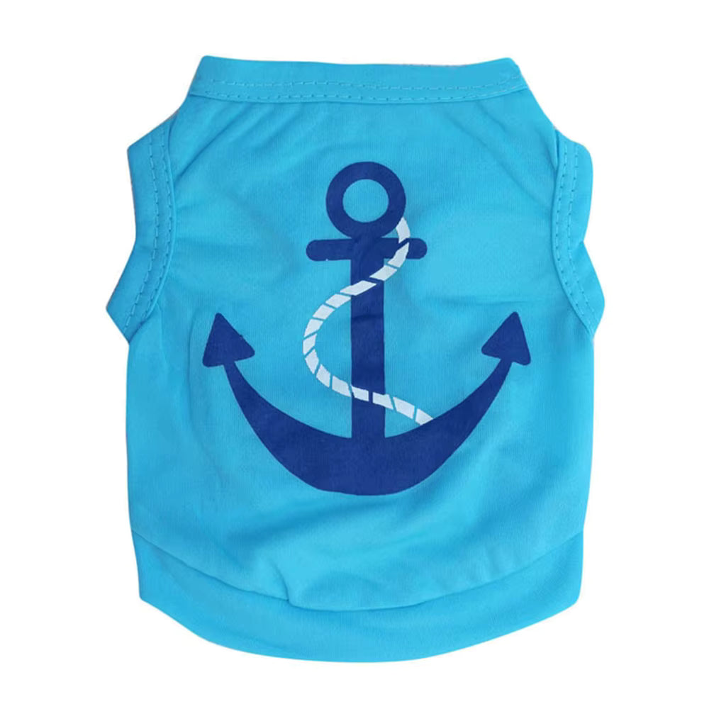 Summer Anchor Vibes