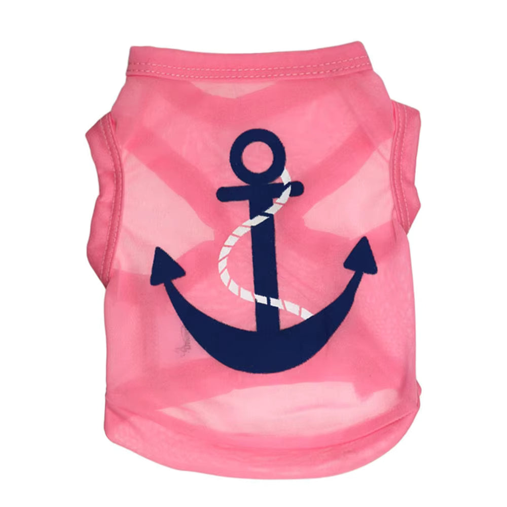 Summer Anchor Vibes