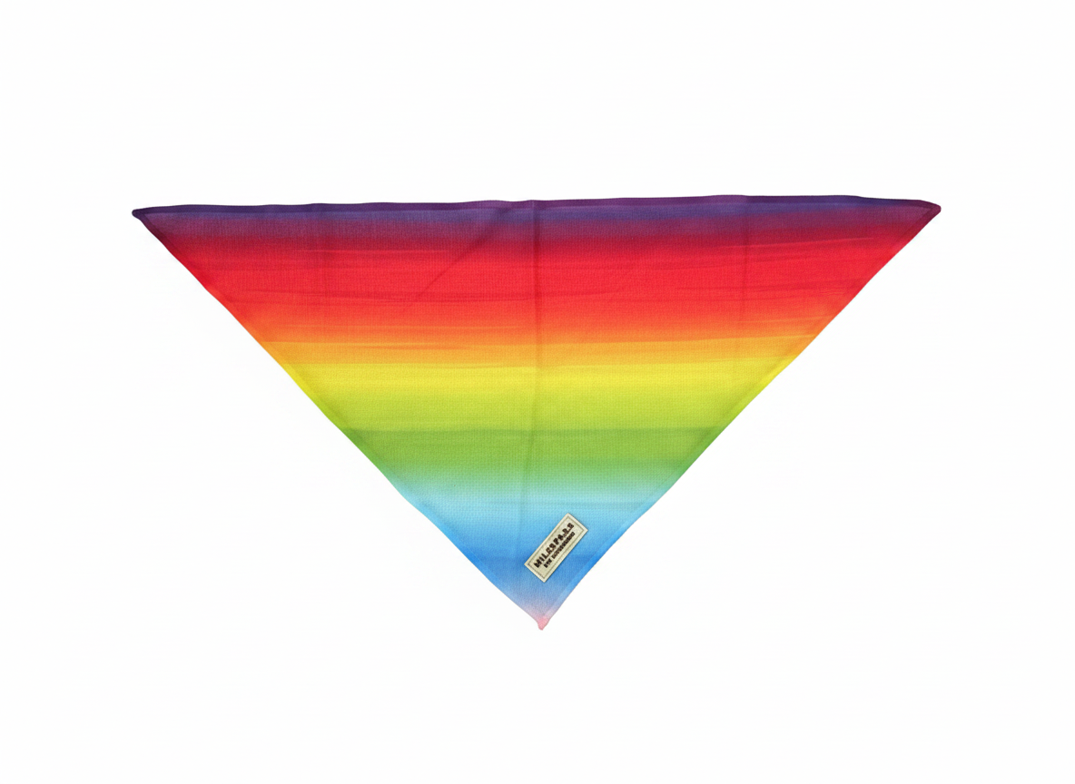 bandanamulticolor.png