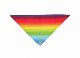 Summer Vibe Bandana