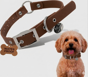 Waterproof Dog Collar
