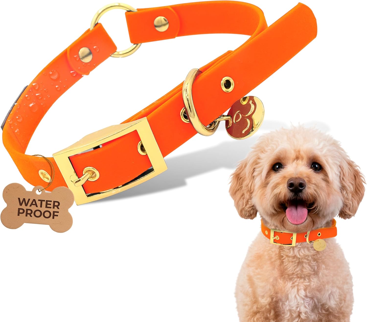 Waterproof Dog Collar