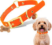 Waterproof Dog Collar