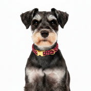 Sweetheart  Dog Collar