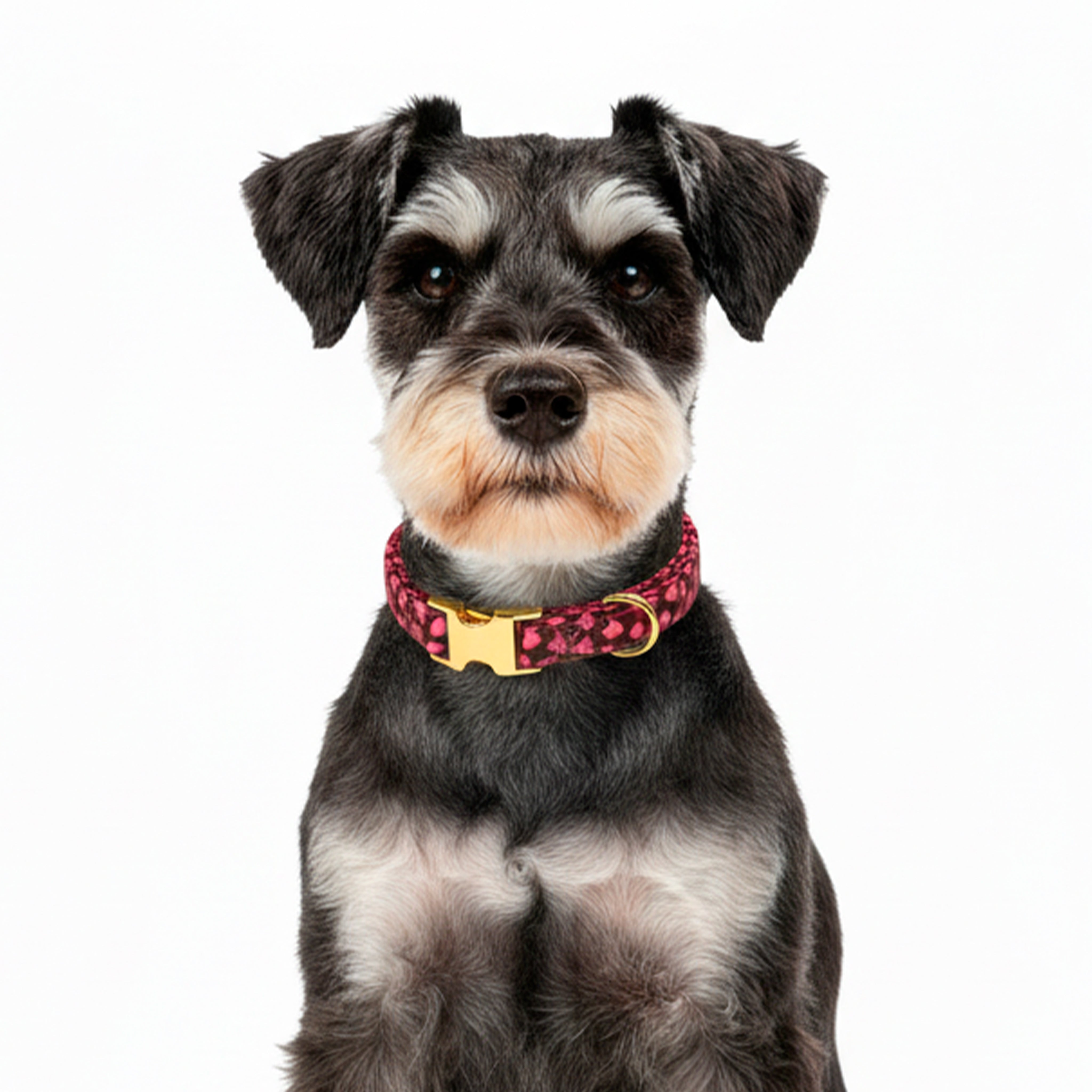 Sweetheart  Dog Collar