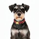 Sweetheart Collar