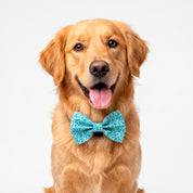 Light Drops Bowtie