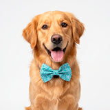 Light Drops Bowtie