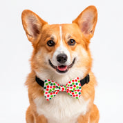 Happy Dotz Bowtie