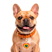 Rainbow Heart Charm