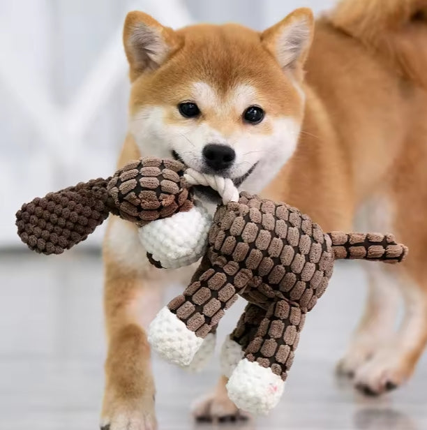 dogwtoy.jpg
