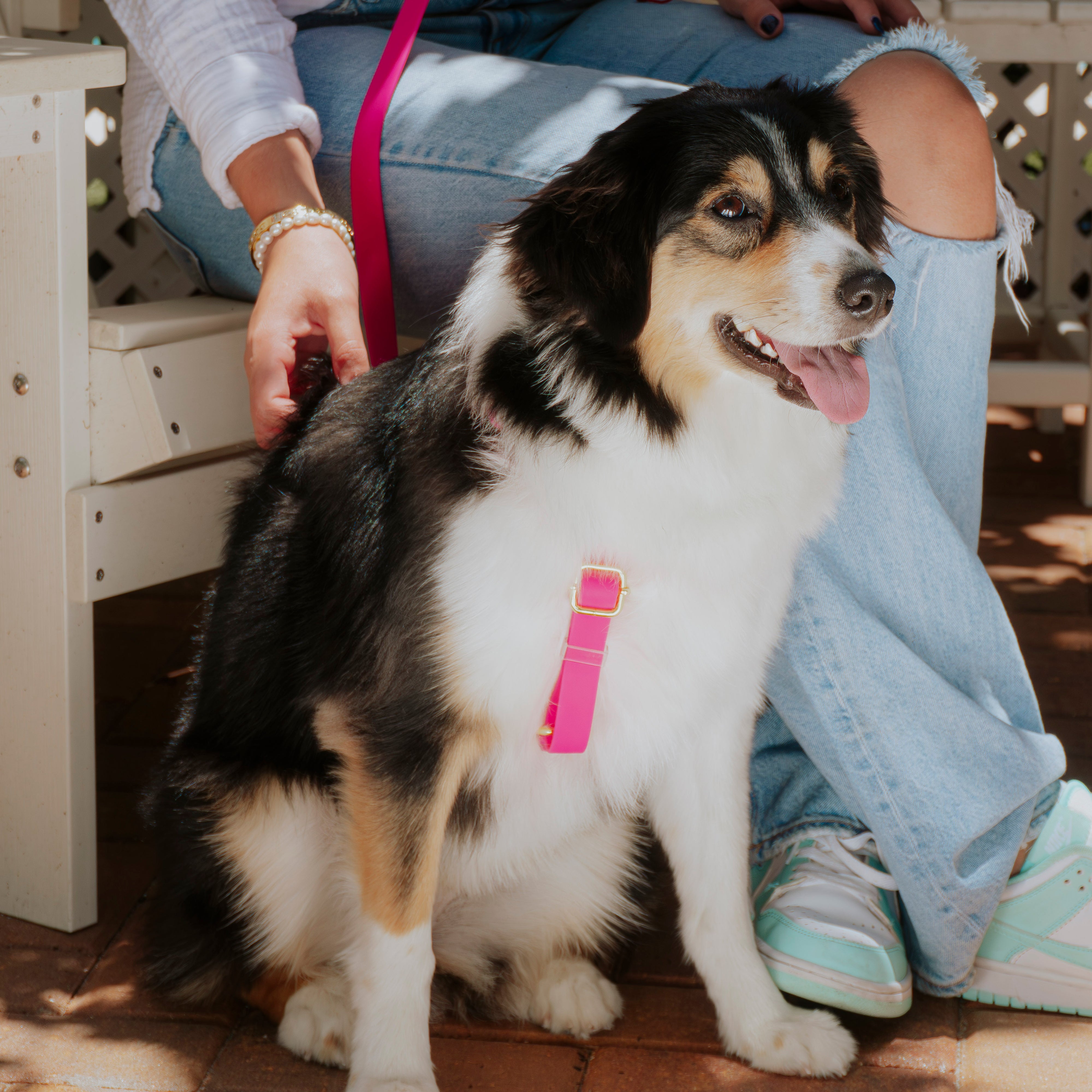 Sweetheart Rope Walking Bundle