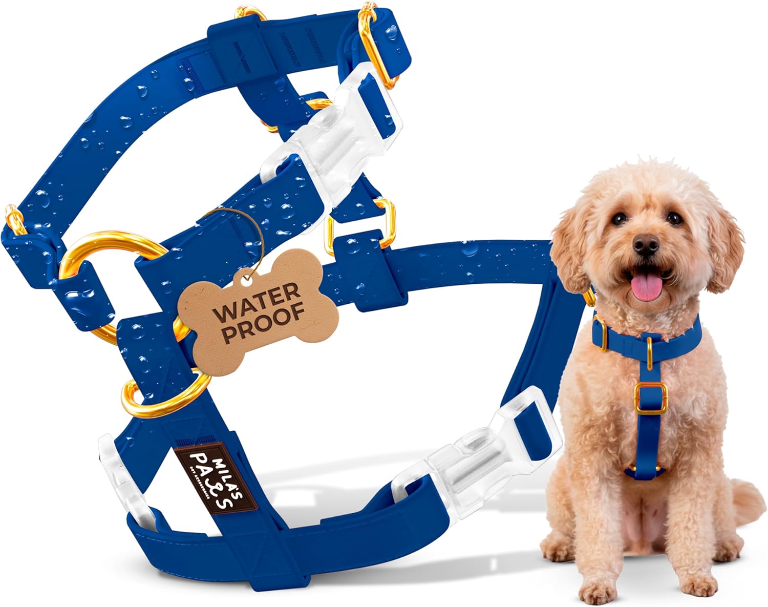 harness_b.jpg