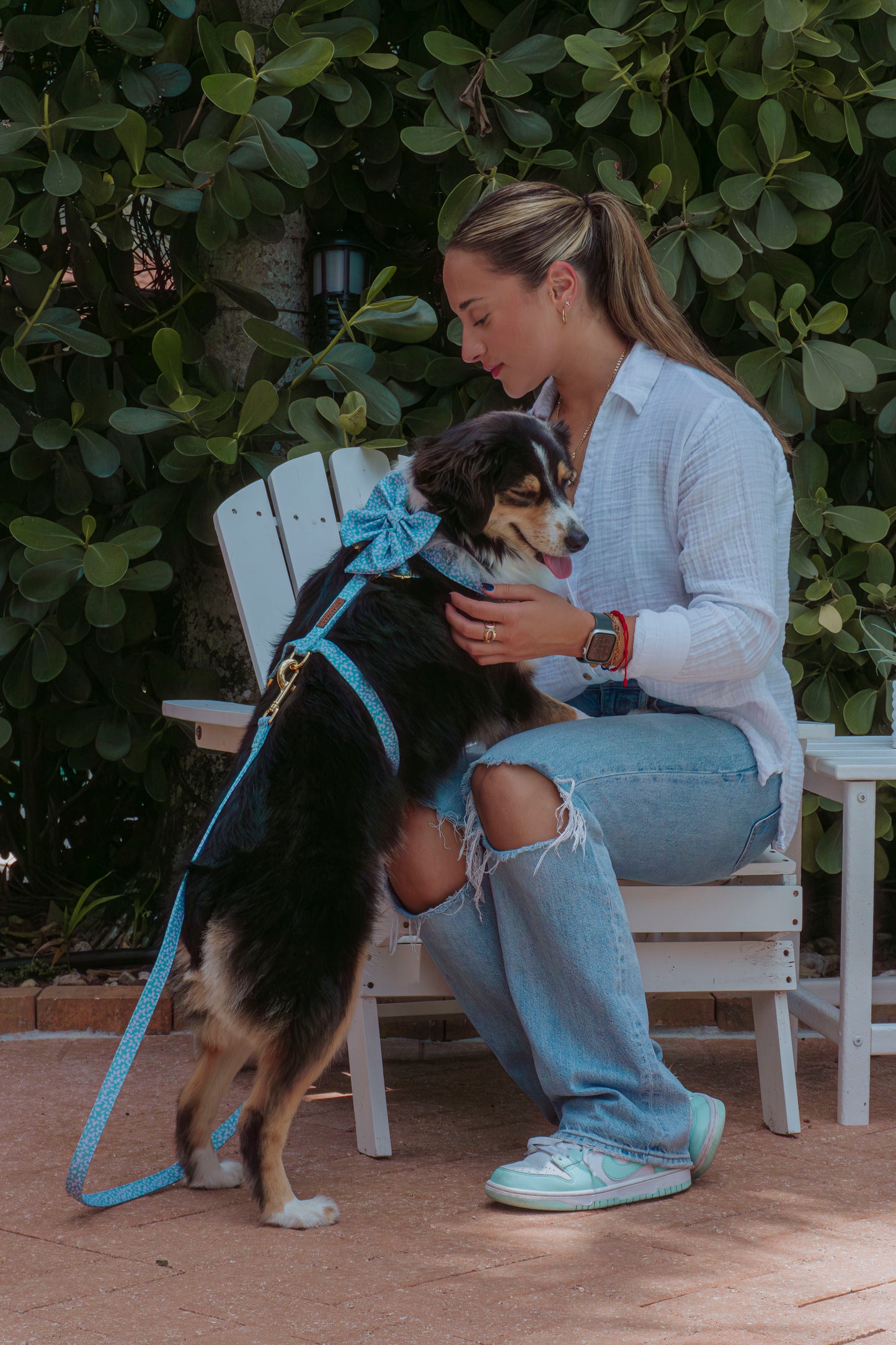Light Drops Harness