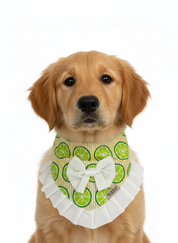 Limoncello Bandana