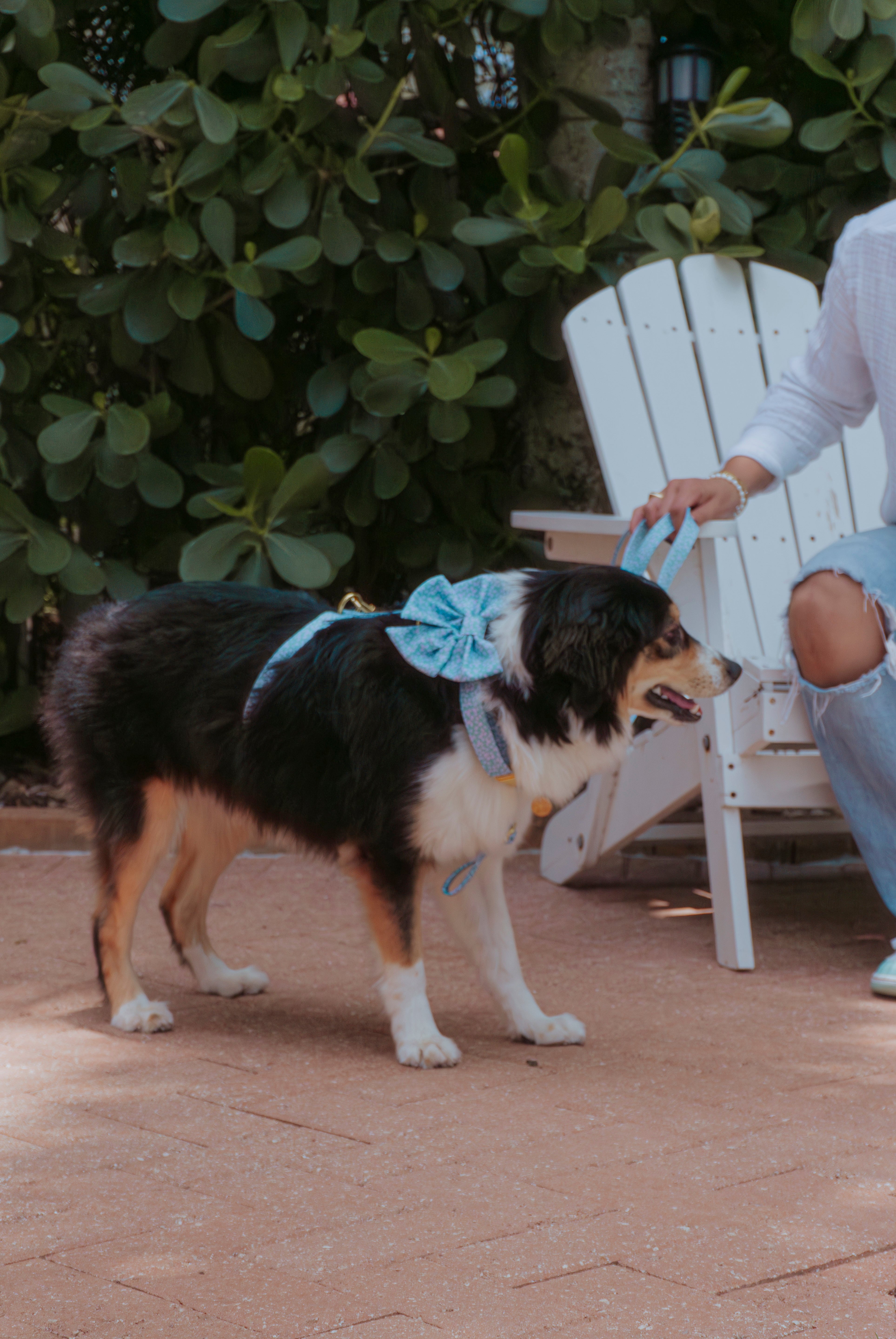 Light Drops Sailor Bow