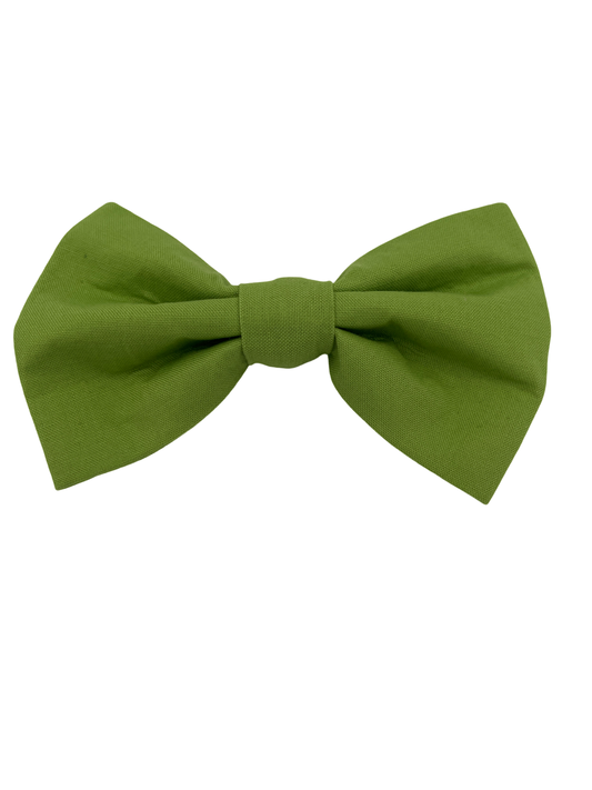 Matcha Bowtie