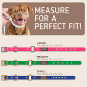 Waterproof Dog Collar