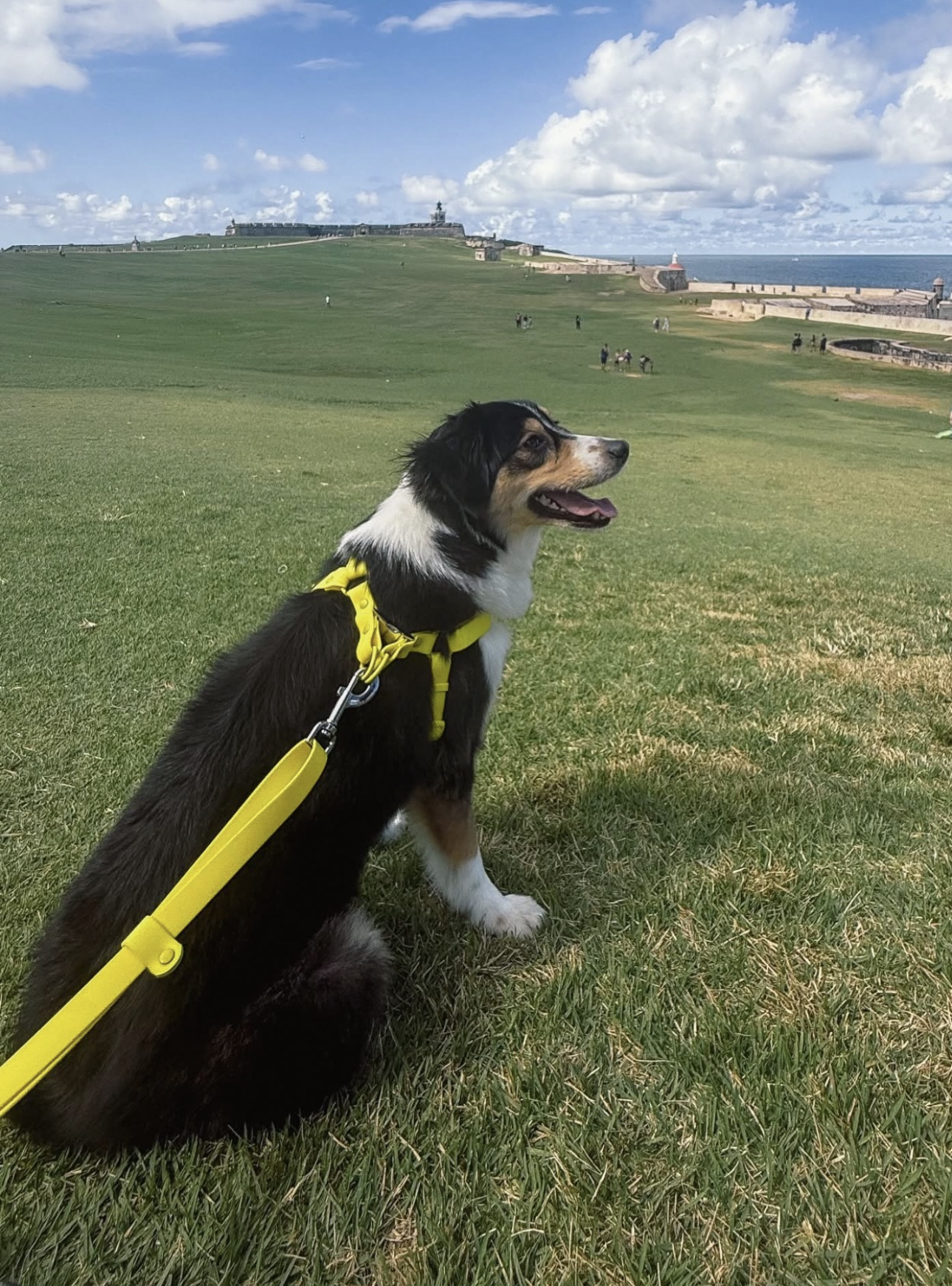 Waterproof Two-step Deluxe Bundle