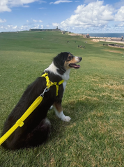 Waterproof Two-step Deluxe Bundle