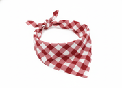 Gingham Red Bandana