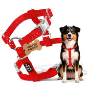 Waterproof Harness