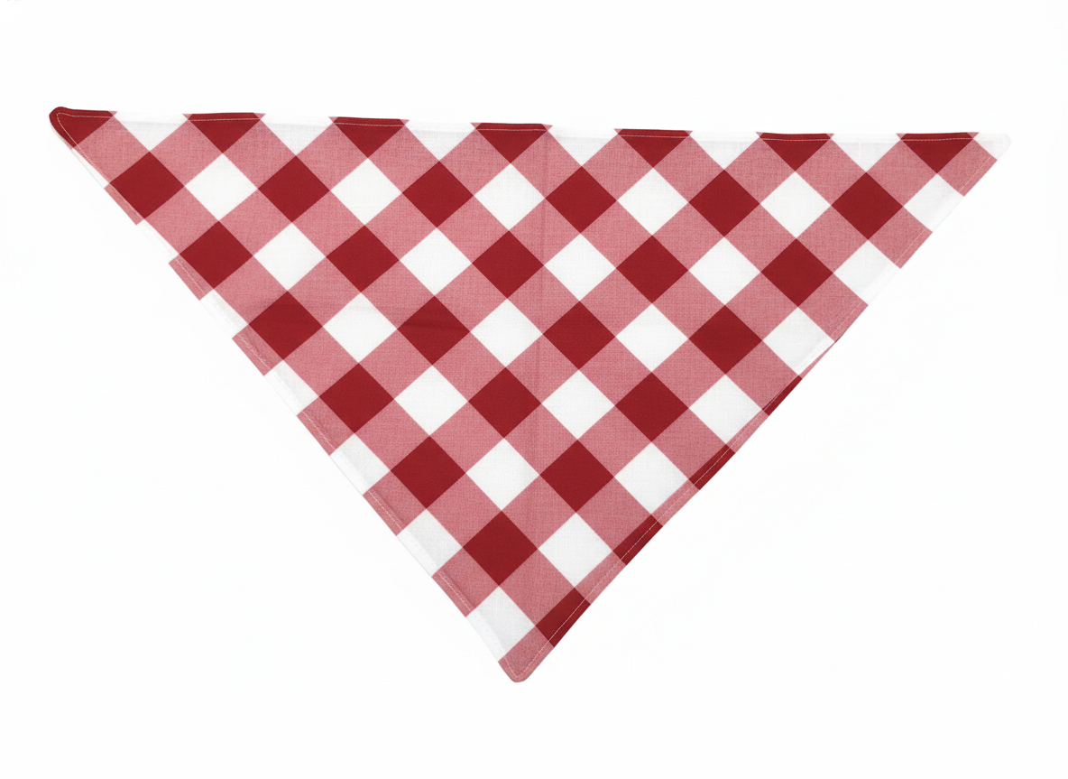 Gingham Red Bandana