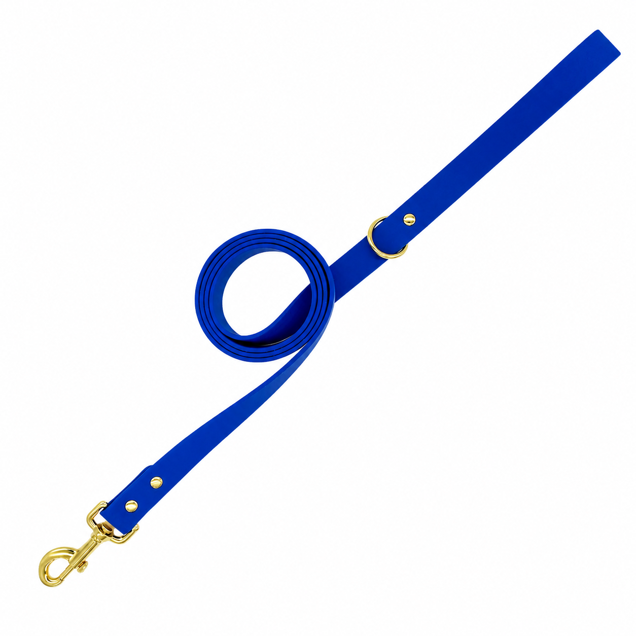 regularleashblue.png