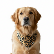 Silky Savage Bandana