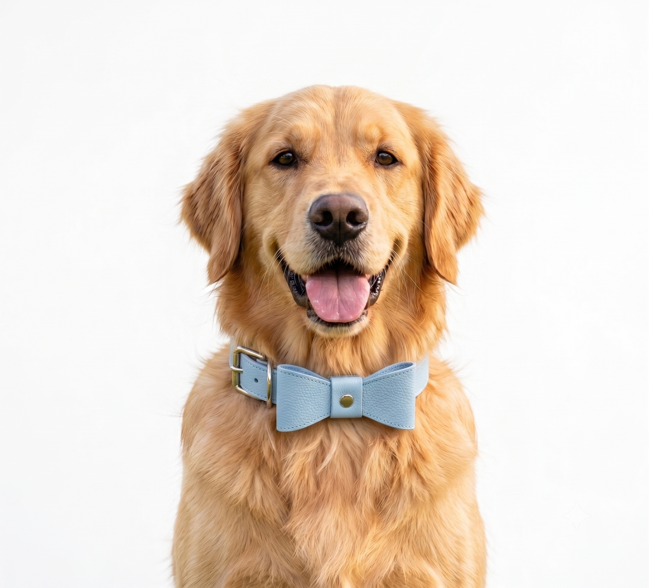 sky_blue_vegan_dog.png
