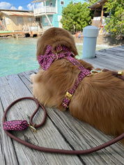 Sweetheart Deluxe Bundle