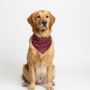 Sweethearts Bandana